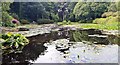 The Azalea Pond at Glenapp Castle hotel