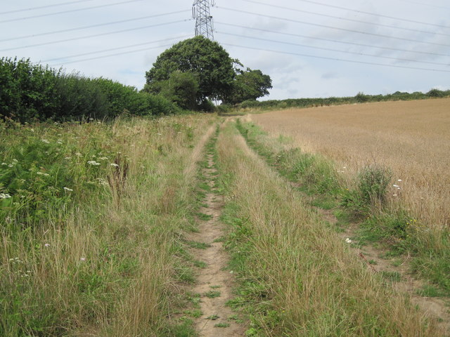 Footpath from Stedham Lane