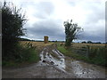 Muddy field entrance off Lilyhurst Road