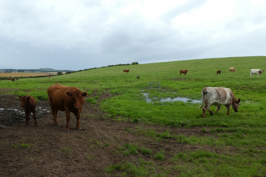 farms to visit near bradford