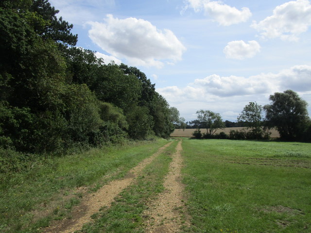 Track to Racer Farm © Jonathan Thacker :: Geograph Britain and Ireland