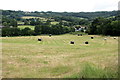 Wrapped Bales near Woodbridge