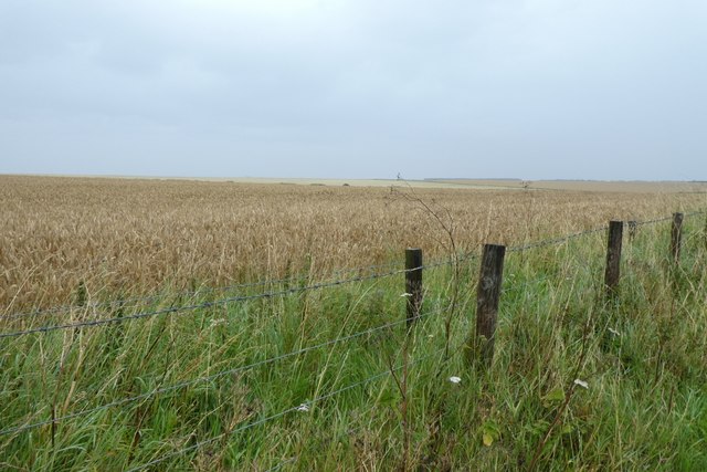 Farmland east of Elwick