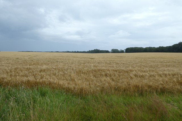Farmland south of Easington Grange