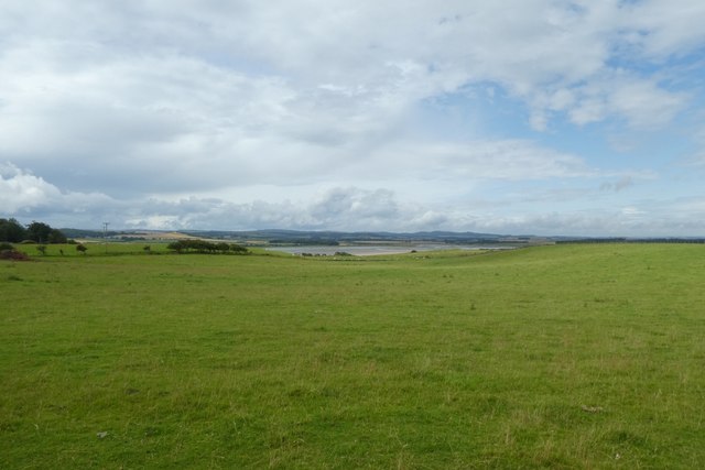 Fields near Budle Bay