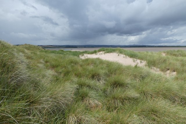 Dunes at Budle Bay