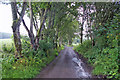 Minor road near Loch Ness Hotel