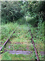 SJ2623 : Disused railway, Porth-y-Waen by John Allan