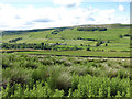 Upper Weardale east of Brotherlee