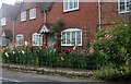 Cottage garden on Aston Road