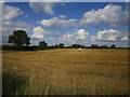 Stubble field by the A52