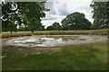 Ornamental lake, Helmingham Park