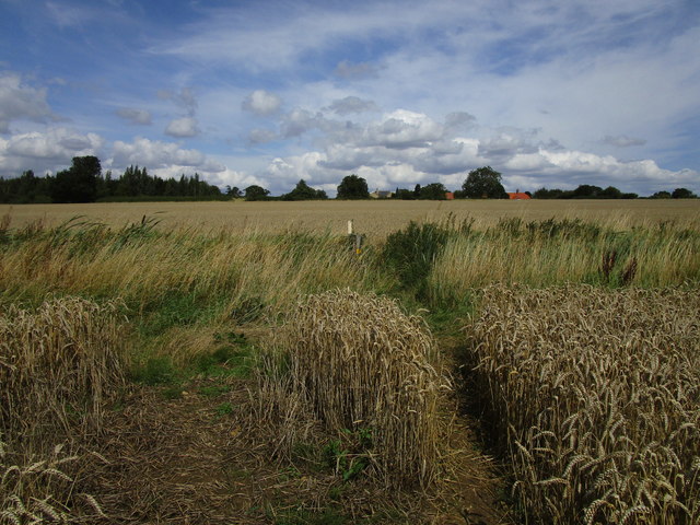 Footpath to Witham on the Hill