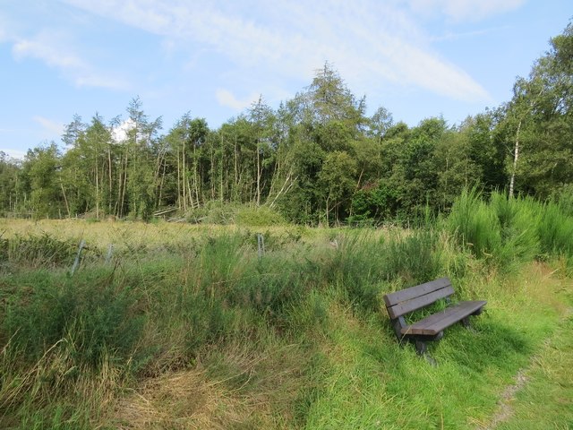 Bench on green lane between Cupar and Ceres