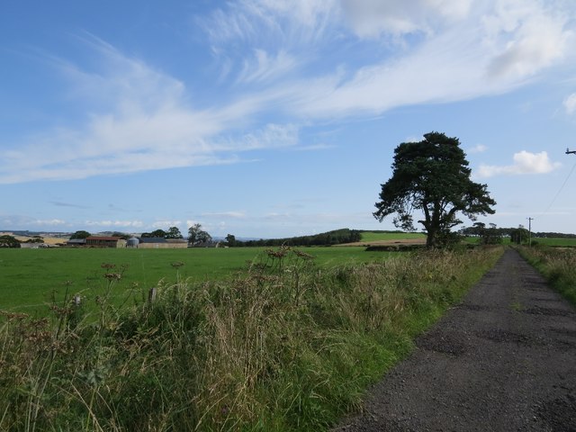 Ceres Moor Farm from green lane