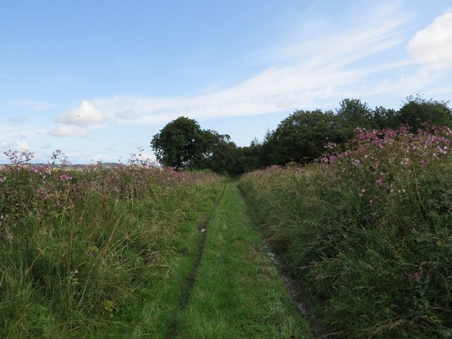 Green Lane near Cupar