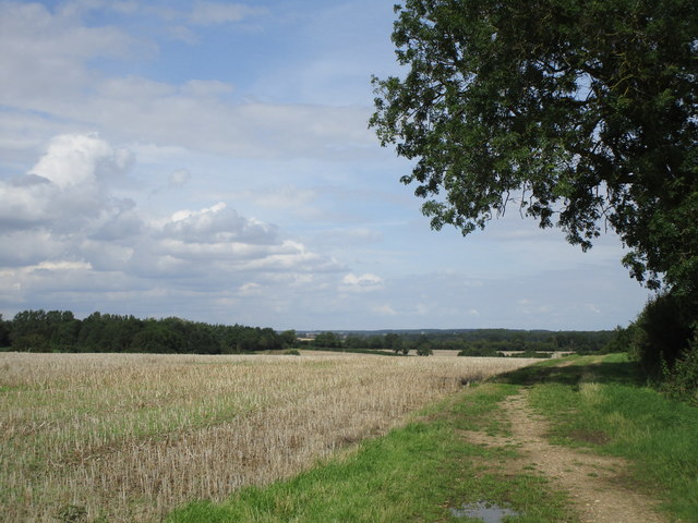 Bridleway on Fountains Hill