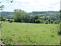 Rolling countryside north of Bath