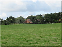 SO8148 : Across the field to Upper Woodsfield Farm by Jeff Gogarty