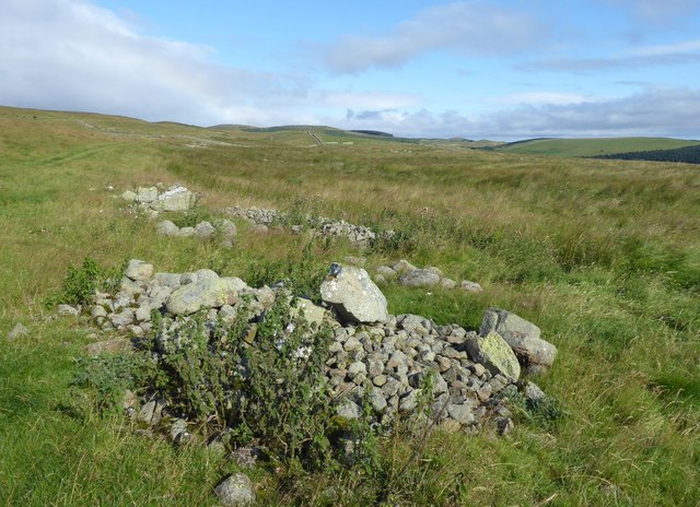 Remains of homesteads and settlements