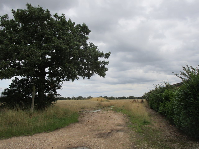 The beginning of a footpath to Weaverslake