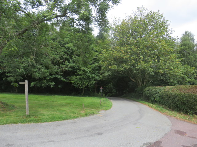 Ranmore Common Road, near Dorking