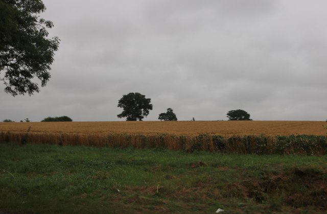 Field by Badingham Road, Peasenhall