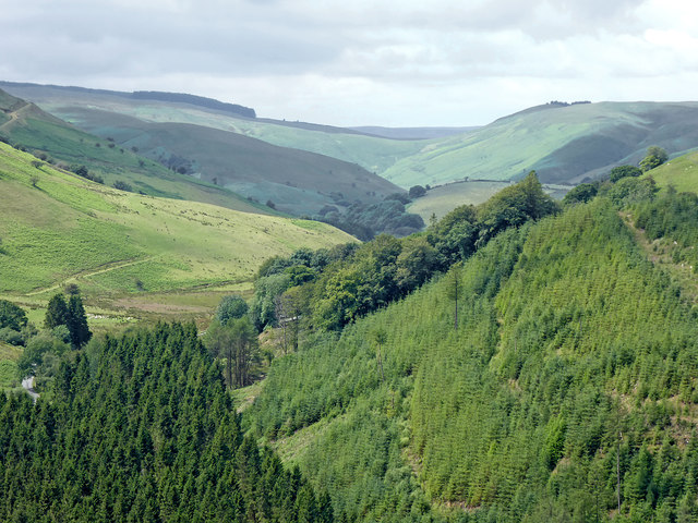 Hill pasture and forest near Abergwesyn, Powys