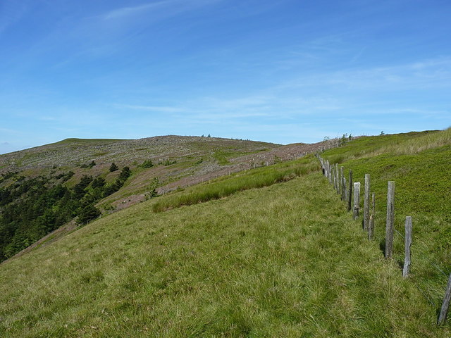 Along the ridge on the east side of Mynydd Tarw