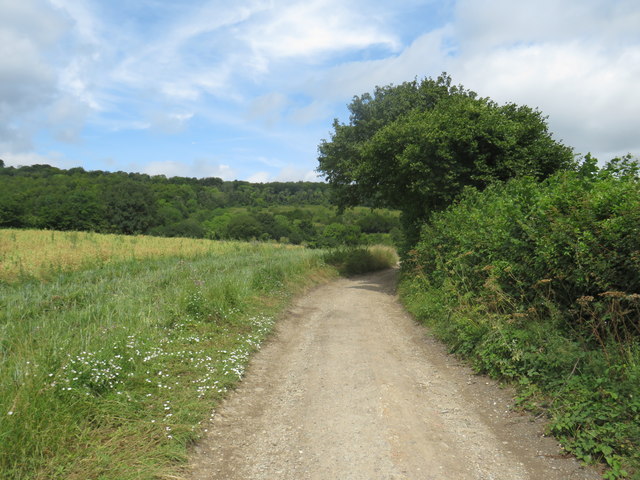 Track near Dorking © Malc McDonald cc-by-sa/2.0 :: Geograph Britain and ...