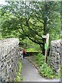 NY3606 : A walk around Rydal Water [68] by Michael Dibb