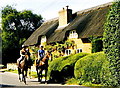 Race Horses, Kingston Lisle, Oxfordshire  2002