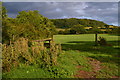 Field beside Bullocks Lane