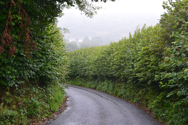 View down Hilling Lane