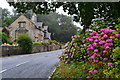 A352 at Minterne Magna