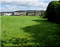 Towards houses near the corner of The Avenue and The Drive, Gilfach