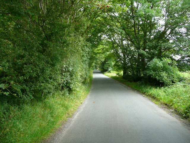 Lane opposite the boundary stone