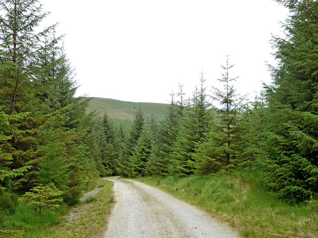 Forestry road on Cefn Garw in Powys