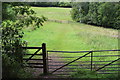 Grassy track near Rhyd-y-Gwern Farm