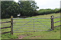 Grassy track to Rhyd-y-Gwern Farm