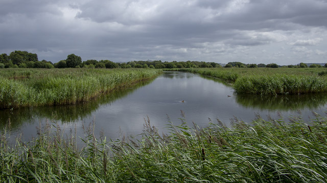 Ham Wall Nature Reserve near Glastonbury © Rossographer :: Geograph ...