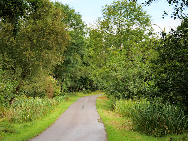 Track in Killarney National Park