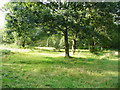 Picnic area next to the car park, Old Racecourse, Oswestry Rural