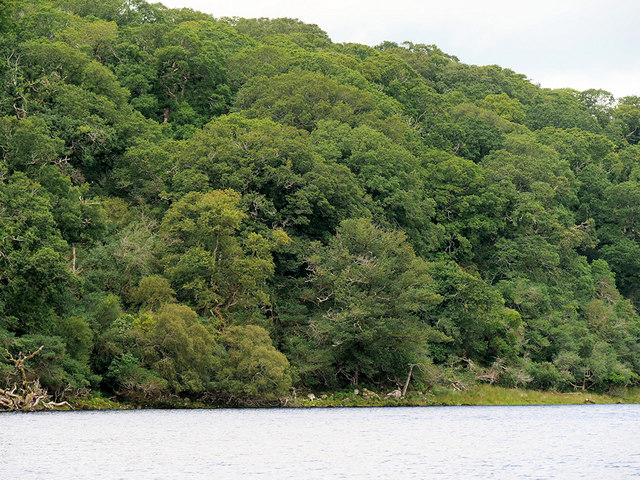 The Western Shore of Lough Leane © David Dixon cc-by-sa/2.0 :: Geograph ...