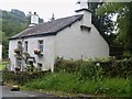 NY3606 : Rydal houses [10] by Michael Dibb
