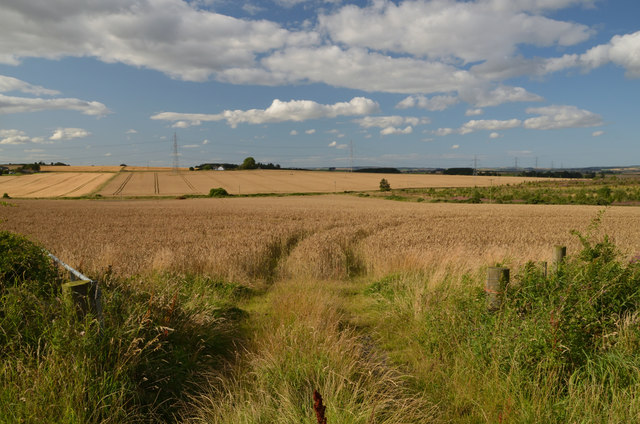 Fields near Udny Station, Aberdeenshire