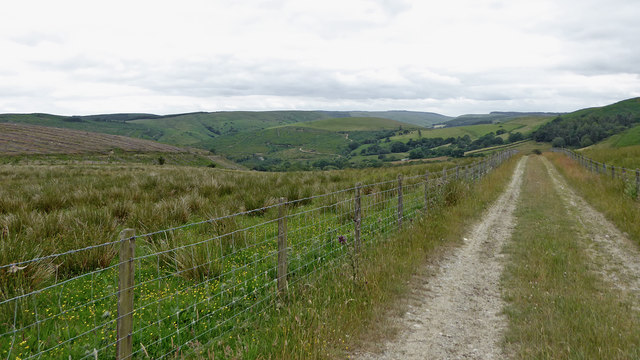 Bridleway and rough pasture near Abergwesyn in Powys