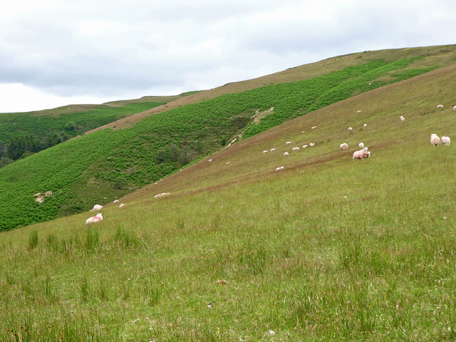 Esgair Eithaf and Esgair Ganol near Abergwesyn, Powys