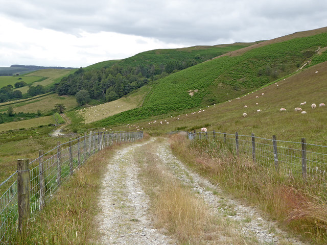 Bridleway, hill pasture and woodland near Abergwesyn