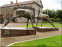 V9690 : Stags outside Killarney Courthouse by David Dixon
